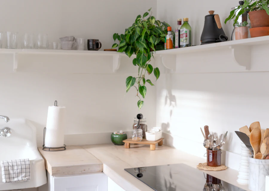 Spotless bright kitchen with plants on open shelves